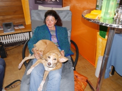 Gesundheitsmesse im Johannesgarten